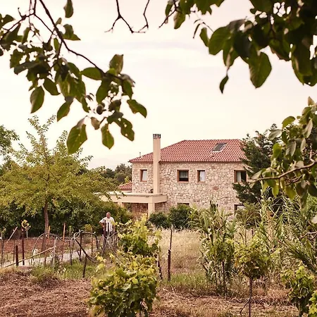 Elisson Guest house
