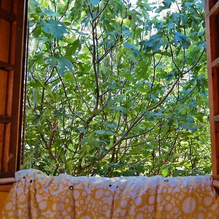 Guest house Elisson